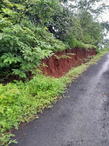  Plot For Sale in Mandangad