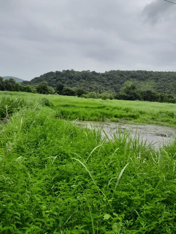 Plot Area in  Plot at Mandangad – for Sale