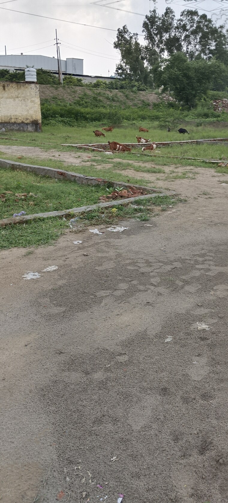 undefined, symbolic-home  71 Sq.Yd. Plot In Sector 80 Noida 9132552