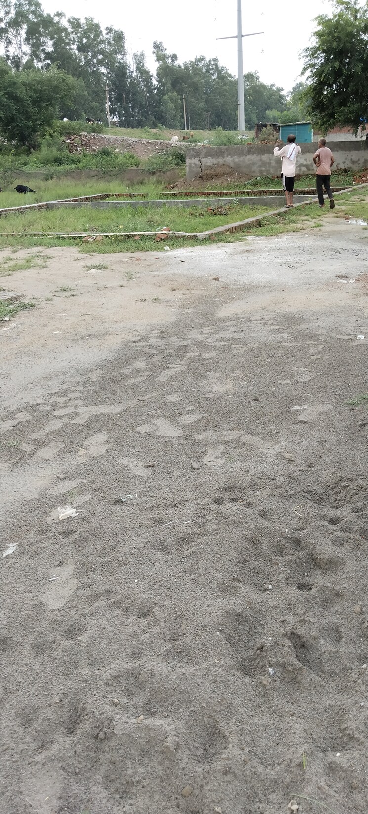 undefined, symbolic-home  71 Sq.Yd. Plot In Sector 80 Noida 9132552