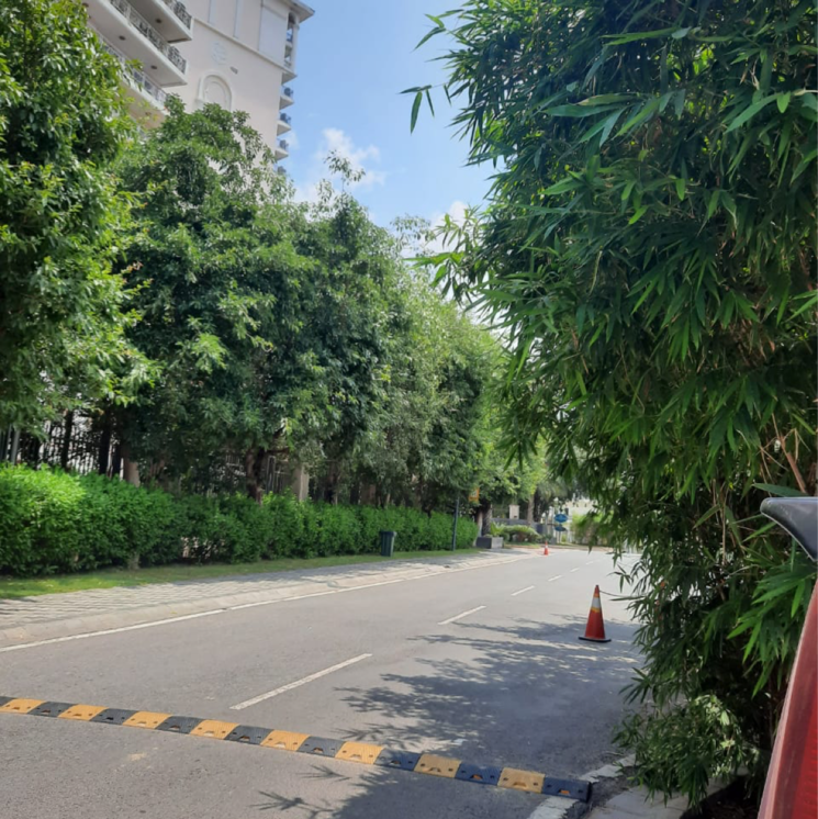 Garden, signature-global-proxima-phase-2 2 Bedroom 685 Sq.Ft. Apartment In Sector 89 Gurgaon 9132558