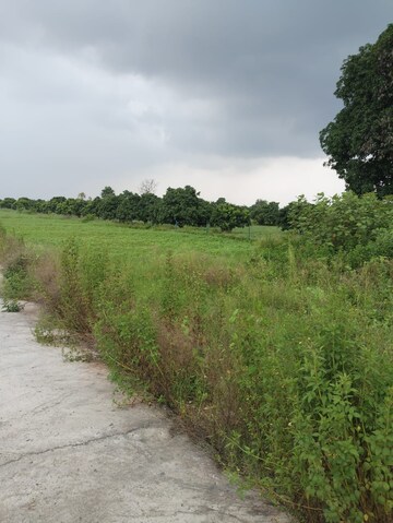  Plot For Sale in Diggi Road