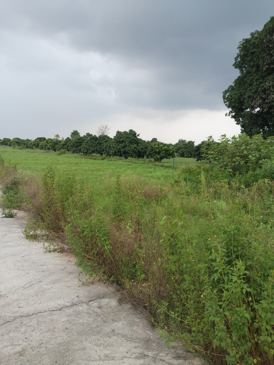 Plot For Sale in Svarn Bhoomi