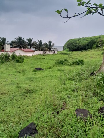  Plot For Sale in Harihareshwar