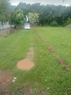 Plot For Sale in Dankaur