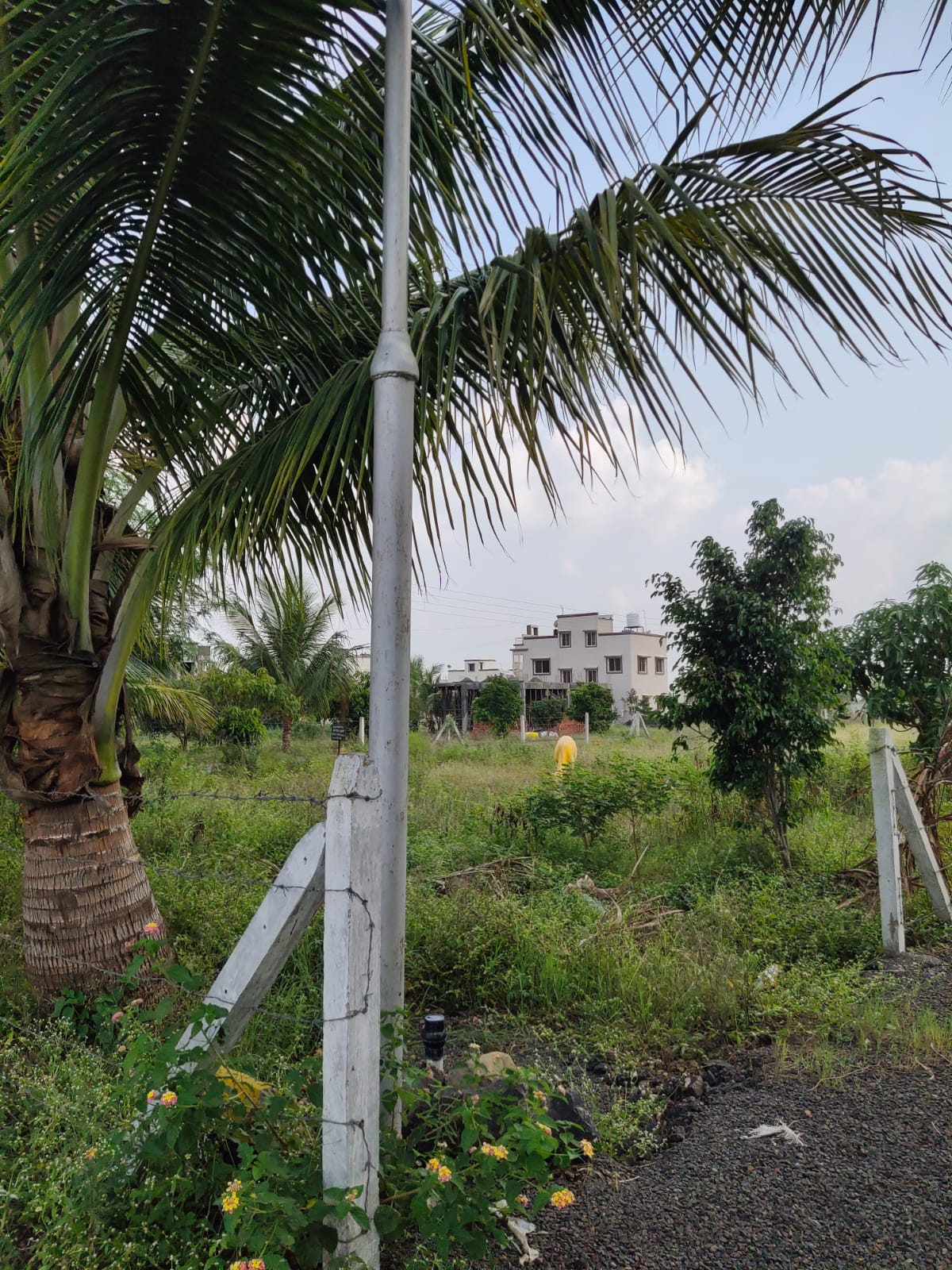 Plot For Sale in Kesnand