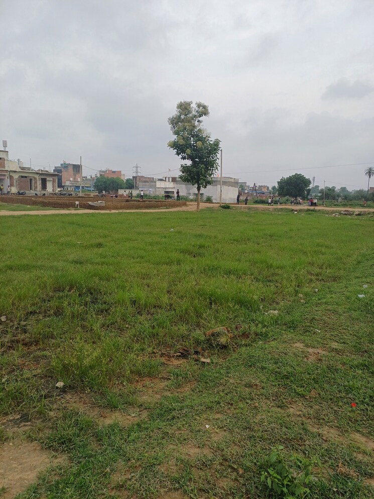 Garden, dheeraj nagar  126 Sq.Yd. Plot In Dheeraj Nagar Faridabad 9132715