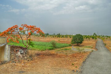 Plot Area in  Plot at Kesnand – for Sale