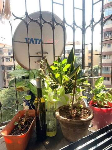Balcony in 1 BHK Apartment at Bandra West – for Rent