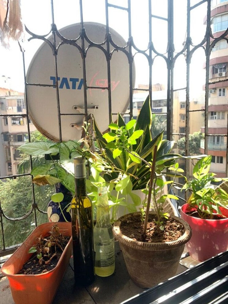 Balcony, bandra west 1 Bedroom 550 Sq.Ft. Apartment In Bandra West Mumbai 9132863