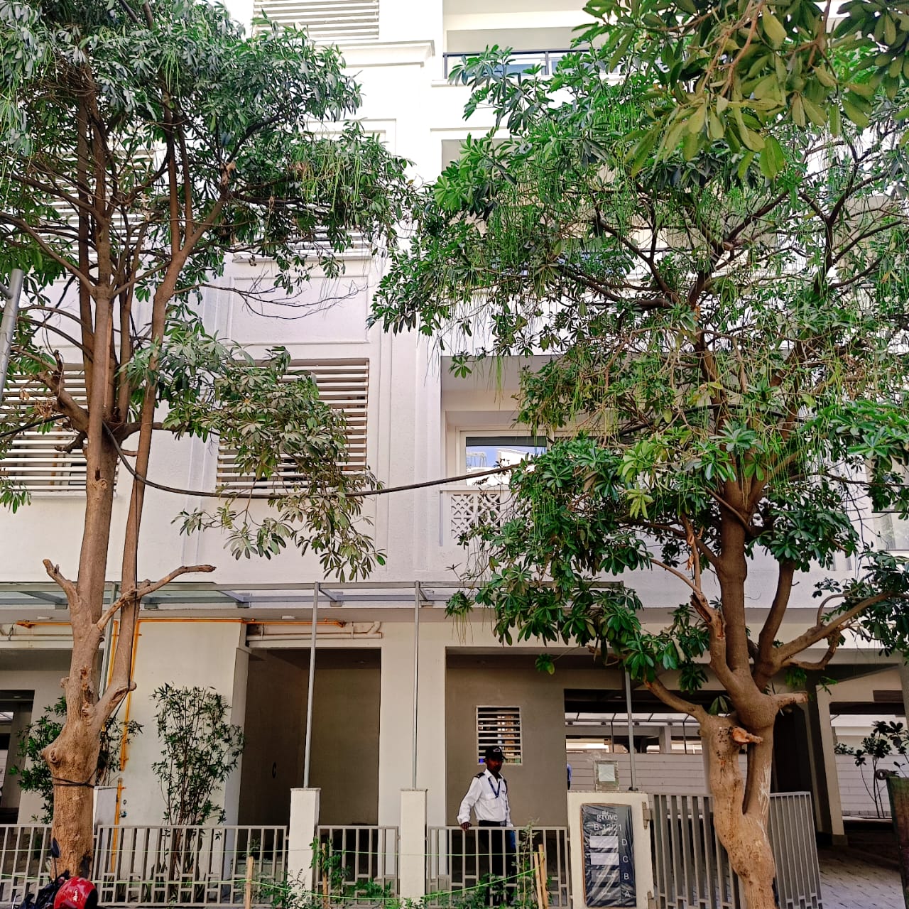 4 BHK + Servant Room Builder Floor For Rent in DLF The Grove