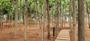 Balcony in 2 BHK Apartment at Greenmark Mayfair Apartments, Tellapur – for Sale