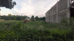 Plot For Sale in Omaxe New Chandigarh