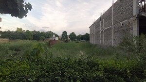  Plot For Sale in Omaxe New Chandigarh, North Mullanpur