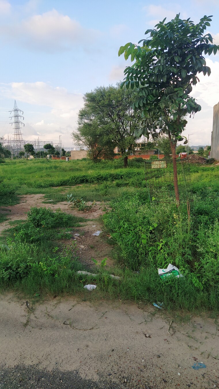 Garden, omaxe-new-chandigarh  300 Sq.Yd. Plot In North Mullanpur Chandigarh 9133100