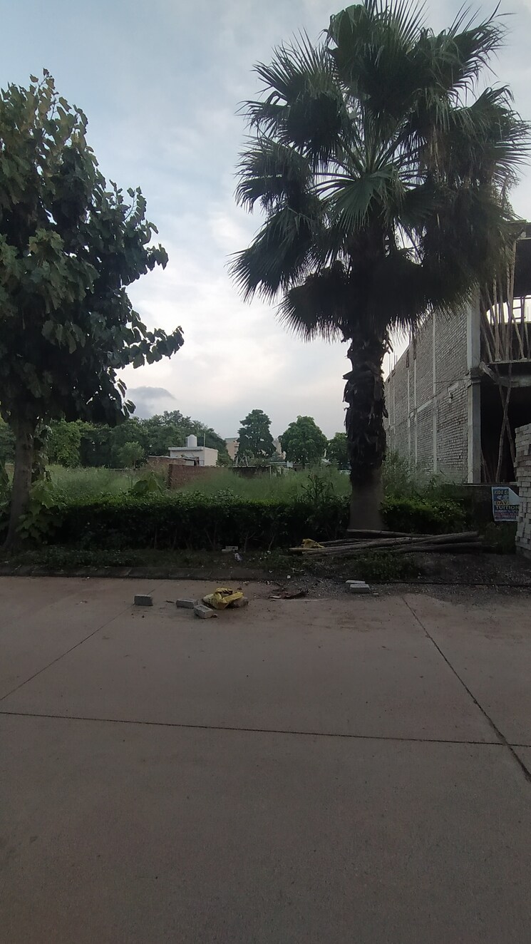 Exterior View, omaxe-new-chandigarh  300 Sq.Yd. Plot In North Mullanpur Chandigarh 9133100