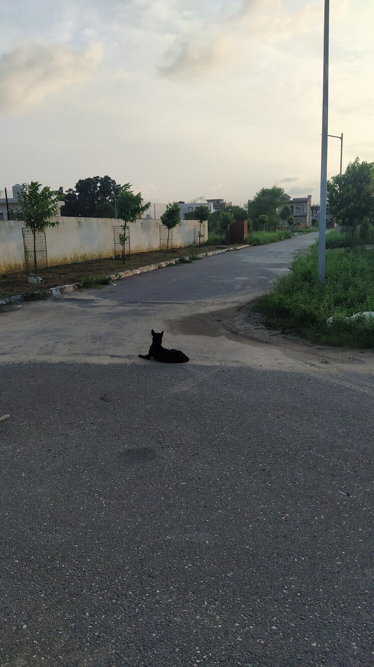 Exterior View, omaxe-new-chandigarh  300 Sq.Yd. Plot In North Mullanpur Chandigarh 9133100