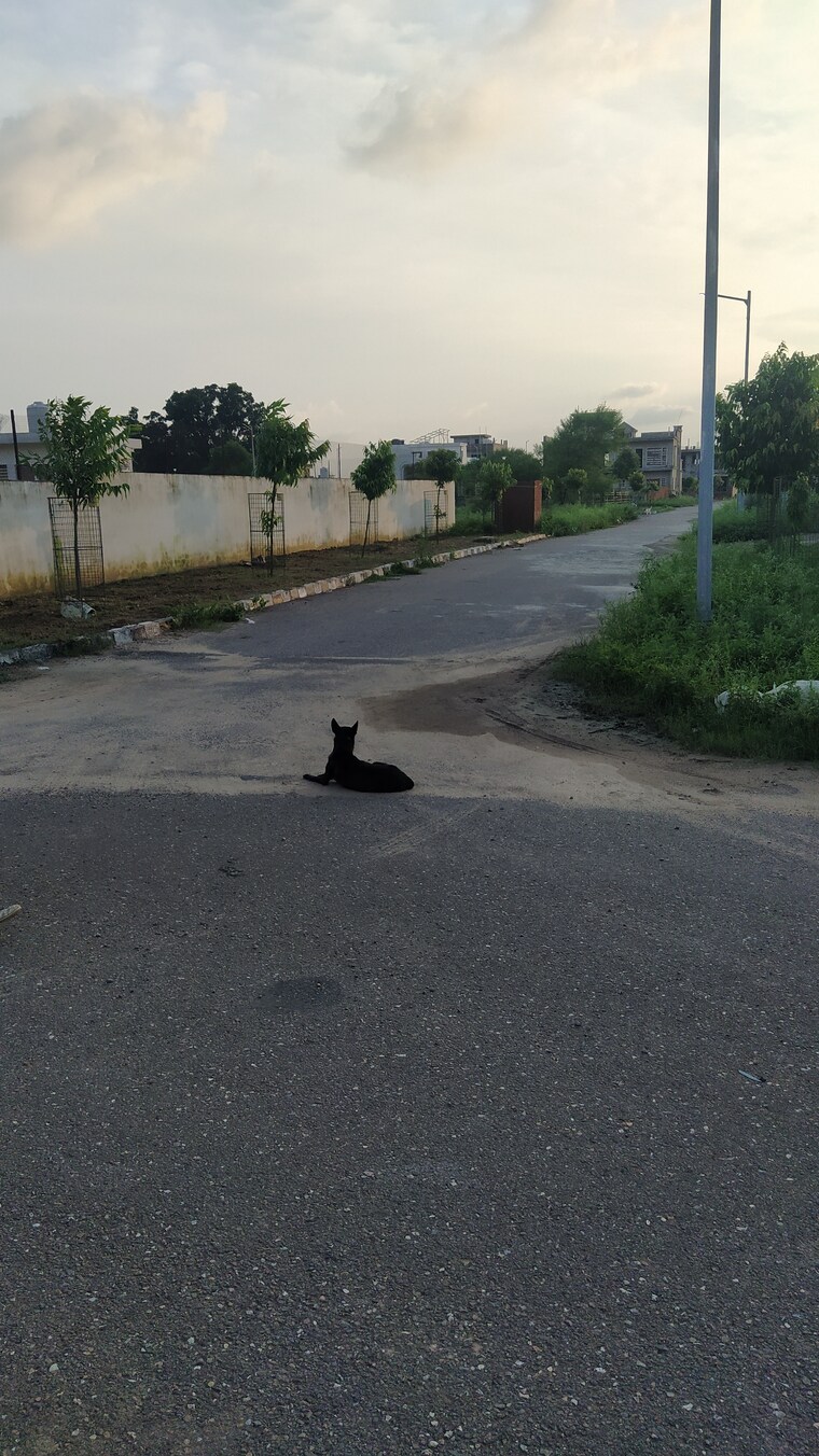 Exterior View, omaxe-new-chandigarh  300 Sq.Yd. Plot In North Mullanpur Chandigarh 9133100