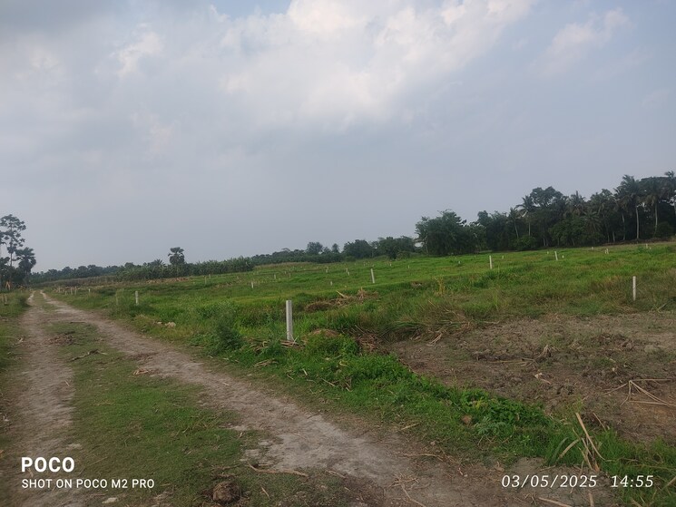 undefined, joka  1440 Sq.Ft. Plot In Joka Kolkata 9133109