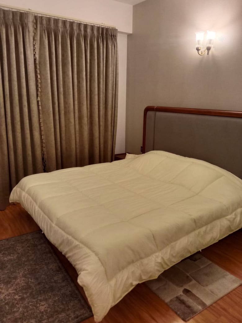 4 BHK + Servant Room Apartment For Rent in DLF The Crest