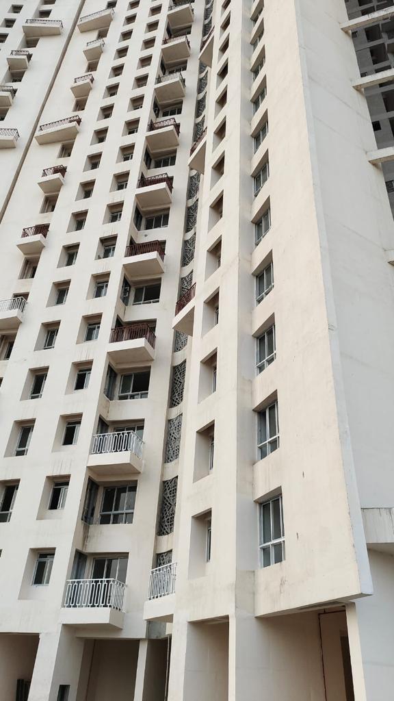 1 BHK + Servant Room Apartment For Rent in Metropolis Aquaris Phase 1