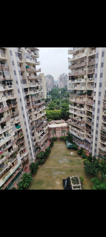 2 BHK Apartment For Rent in Amrapali Royal