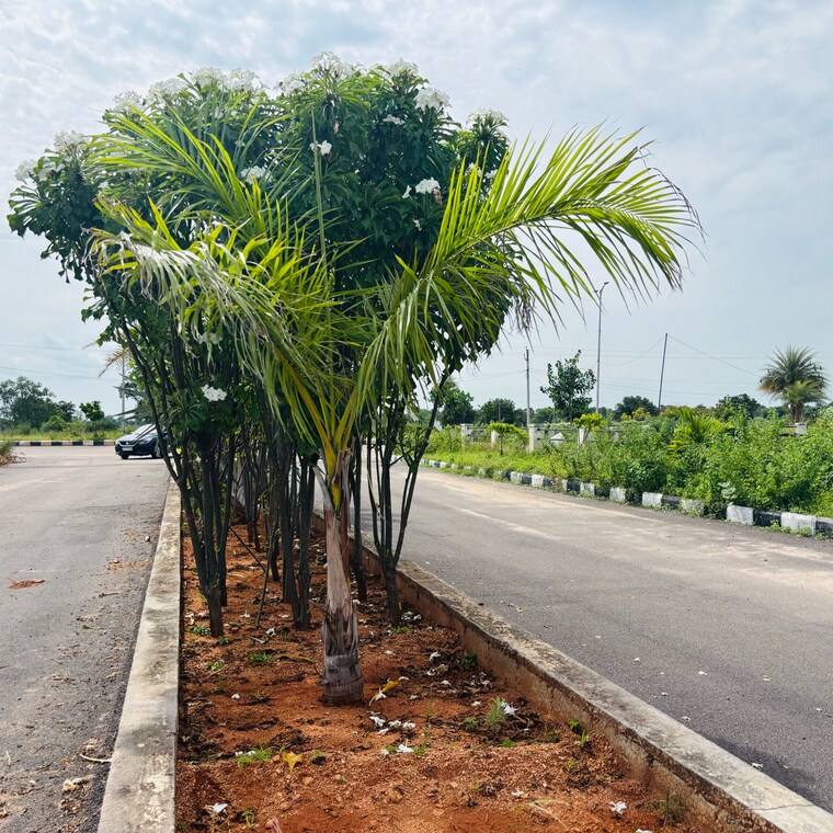 Exterior View, jb-nature-valley  278 Sq.Yd. Plot In Kothulapuram Hyderabad 9133576
