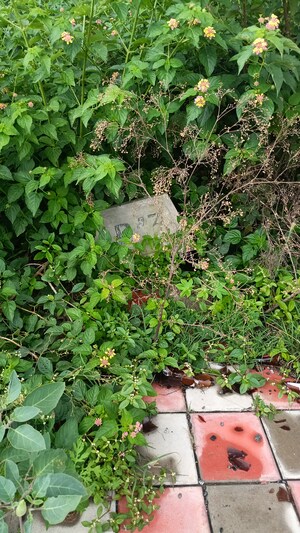  Plot – Exterior View View at Devarachikkana Halli - for Sale