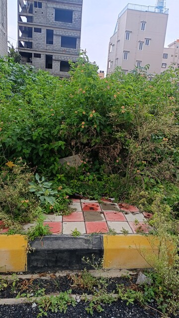  Plot – Exterior View View at Devarachikkana Halli - for Sale