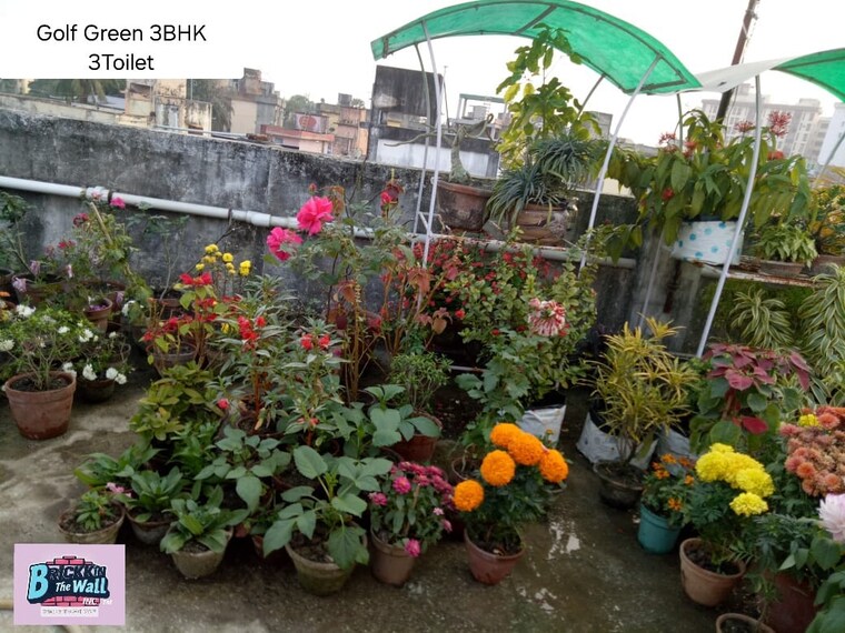 Exterior View, golf green 3 Bedroom 1550 Sq.Ft. Builder Floor In Golf Green Kolkata 9134004