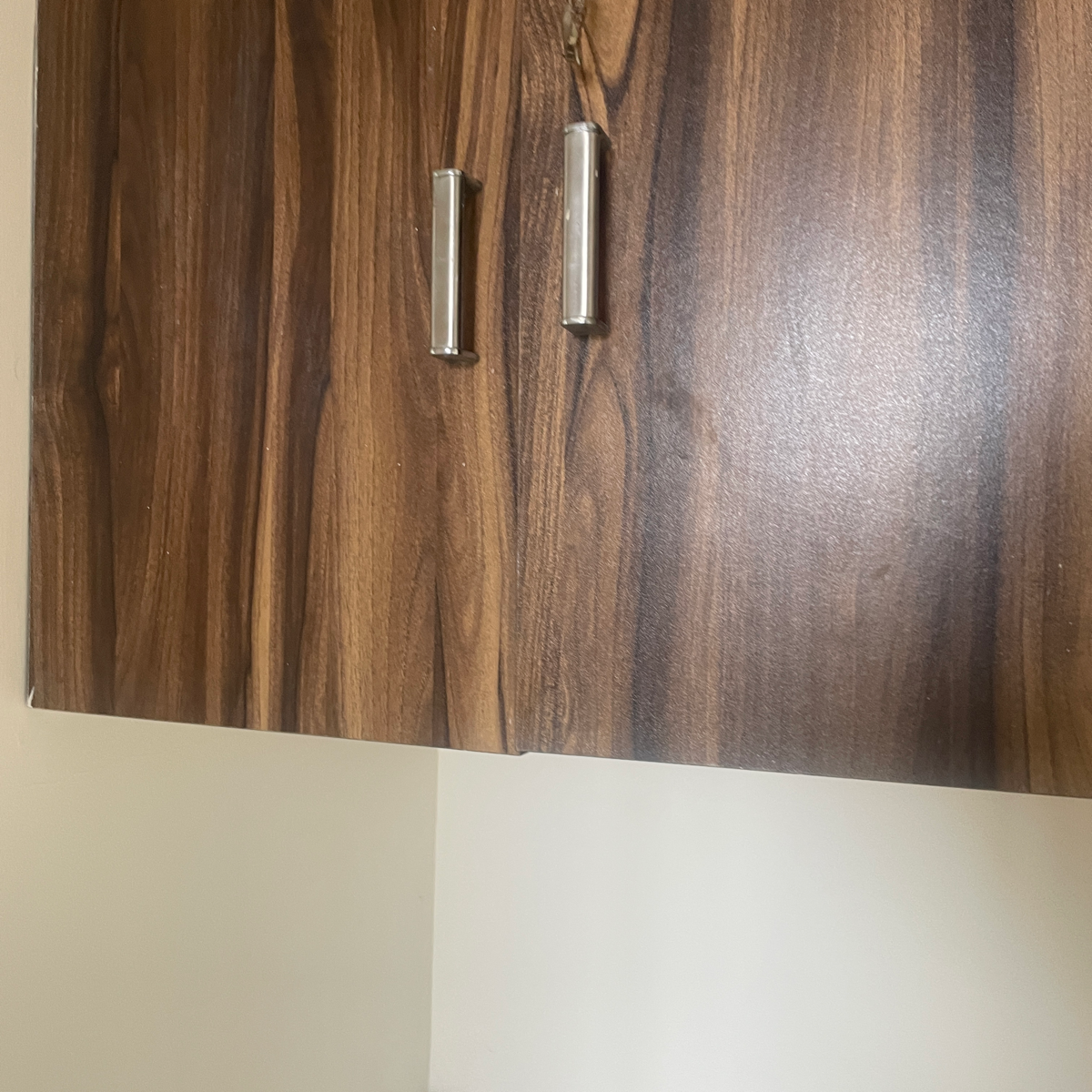 1.5 BHK Apartment For Rent in Runwal Forests