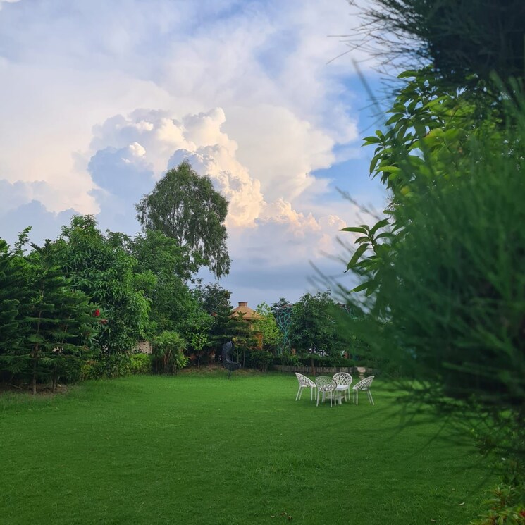 Garden, sector 135  1008 Sq.Yd. Plot In Sector 135 Noida 9134471