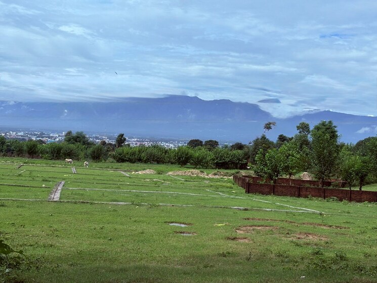 undefined, sherpur  347 Sq.Yd. Plot In Sherpur Dehradun 9134578