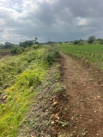 2 Acre Plot in Sky Developers