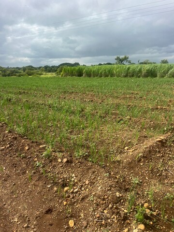 Plot Area in  Plot at Morgaon – for Sale