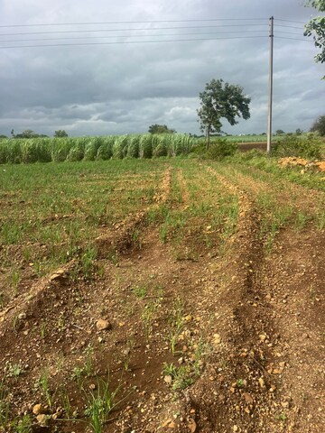 Plot Area in  Plot at Morgaon – for Sale