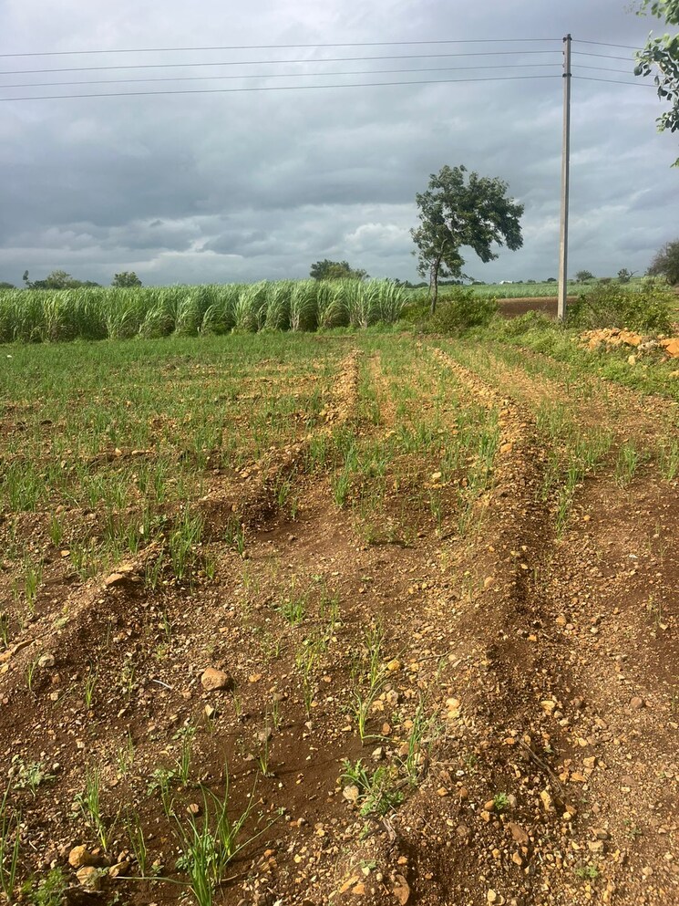 undefined, morgaon  2 Acre Plot In Morgaon Pune 9134577