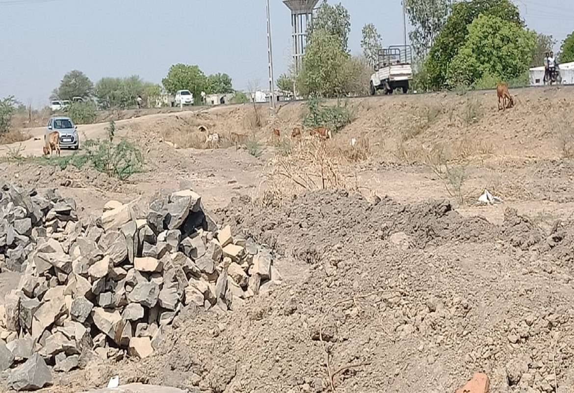 Plot For Sale in Shyam Dholera Global City