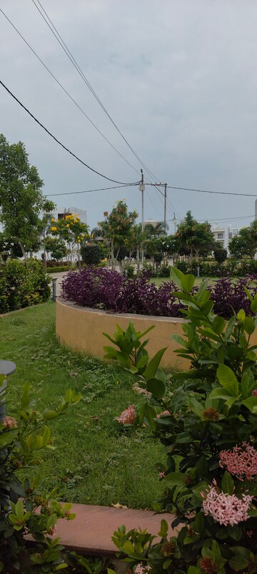Plot Area in  Plot at Ab Bypass Road – for Sale
