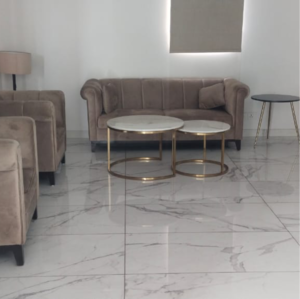Living Room in 5 BHK Builder Floor at Sector 14 – for Sale