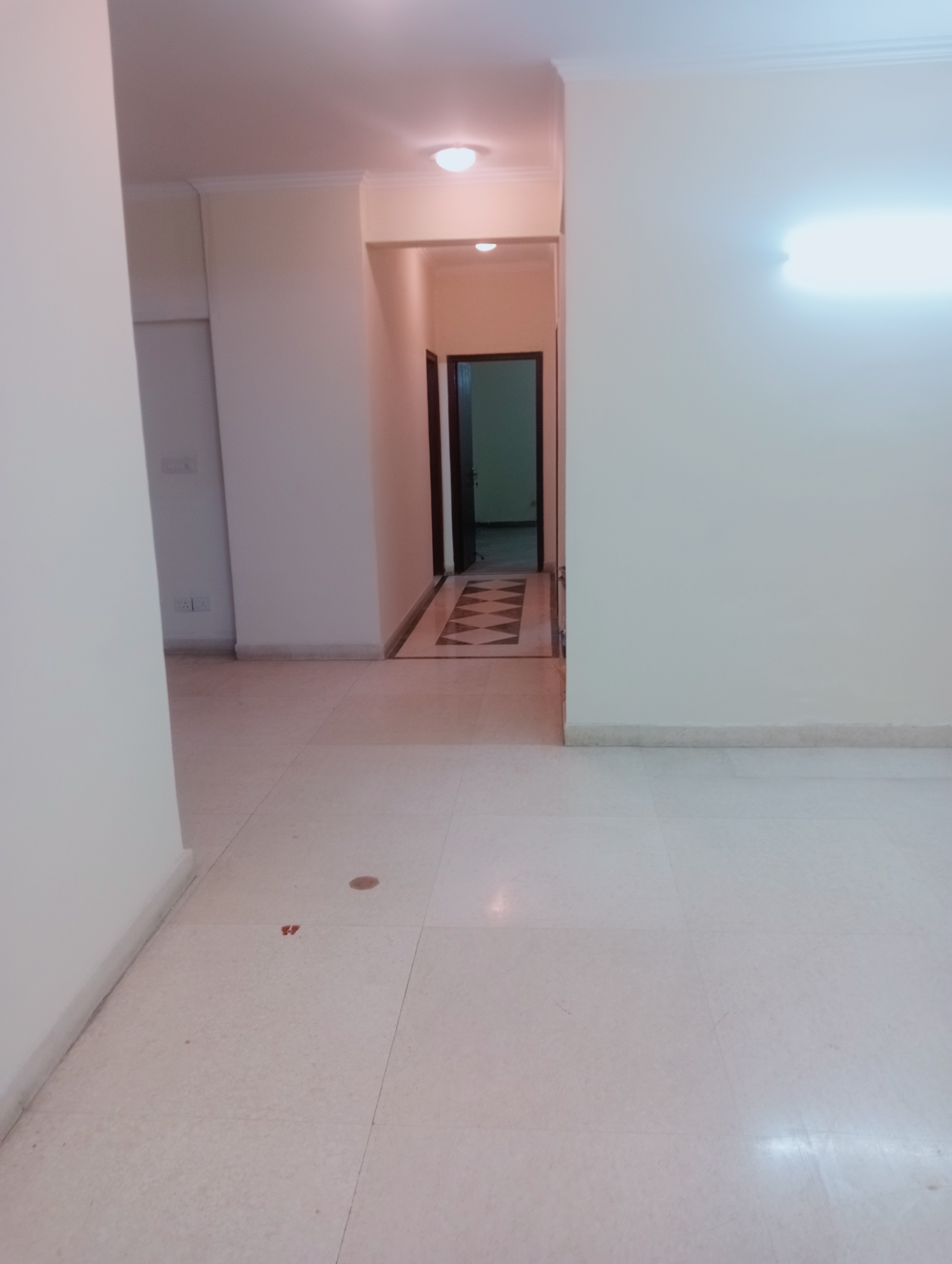 3.5 BHK + Servant Room Apartment For Rent in Parsvnath Green Ville