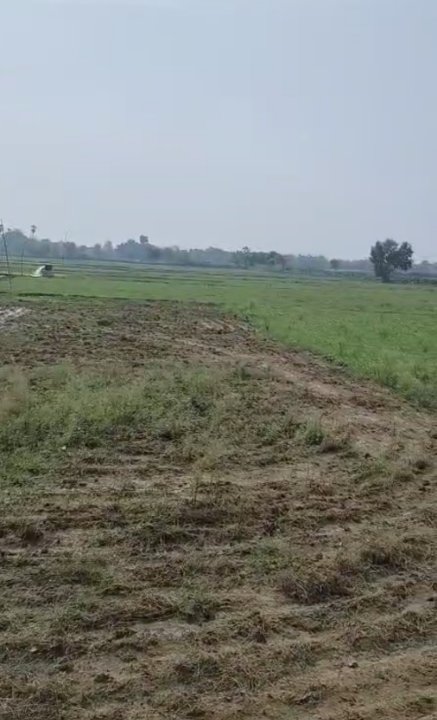 Plot For Sale in Naubatpur Bechhedi 