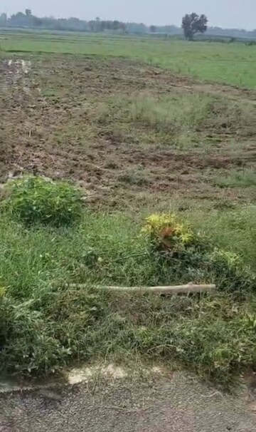Plot Area in  Plot at Naubatpur – for Sale