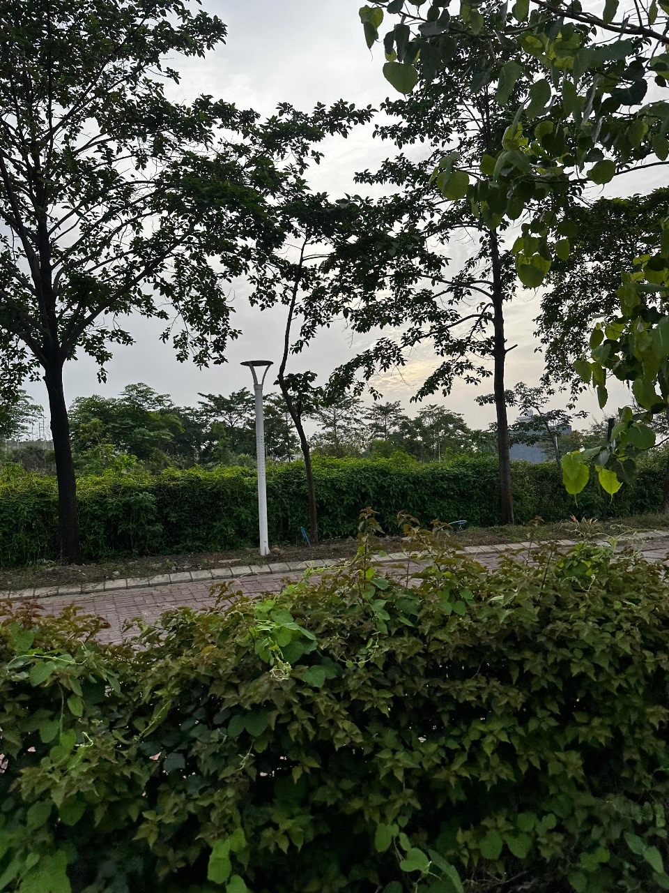 Plot For Sale in Silicon City