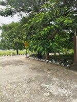144 Sq.Yd. Plot in Bithoor