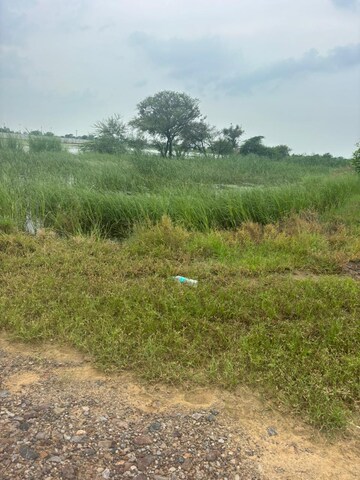  Plot For Sale in Barsana
