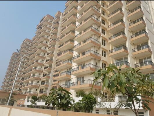 1 BHK Apartment For Sale in HCBS Sports Ville