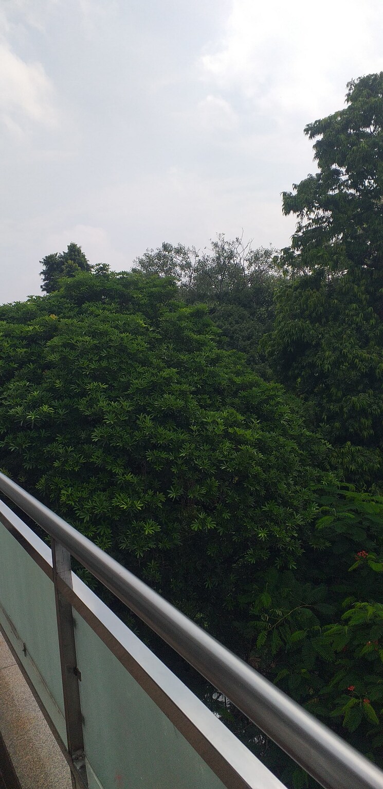 Garden, veera-safdarjung-enclave 3 Bedroom 1600 Sq.Ft. Builder Floor In Safdarjung Enclave Delhi 9135960