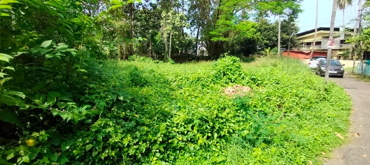 Garden, ayyanthole  2613 Sq.Ft. Plot In Ayyanthole Thrissur 9136576