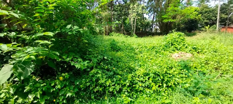 Garden, ayyanthole  2613 Sq.Ft. Plot In Ayyanthole Thrissur 9136576